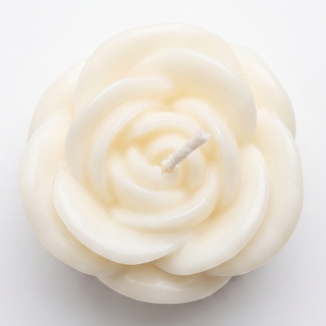 Candle Rose - White / Coconut