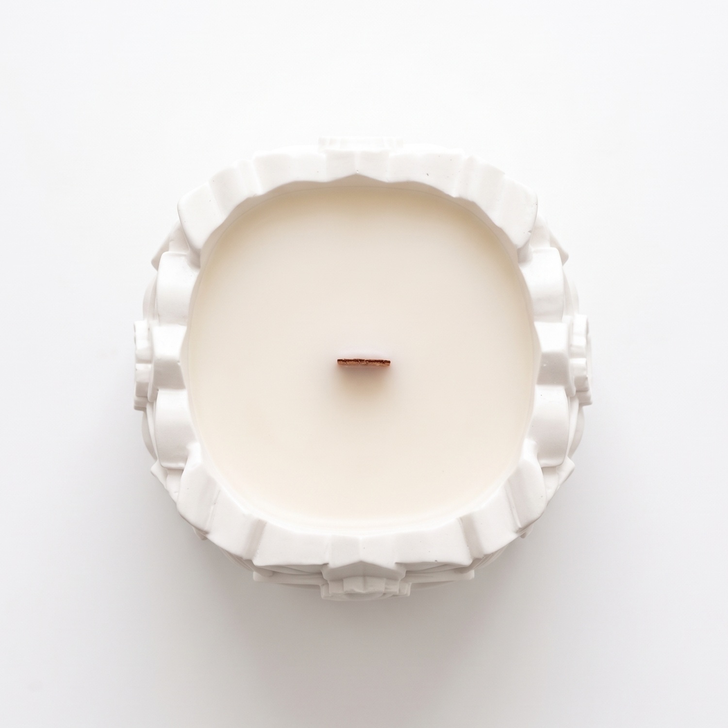Candle Narcissus - White / Cherry