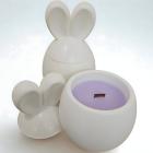 White / Purple