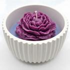 White / Purple / Lavender