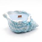 Blue / Cotton
