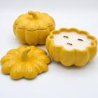 Yellow / Apple Strudel / XXL