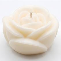 Candle Rose - White / Coconut