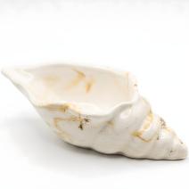 Aura Container - White / Gold