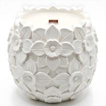 Candle Narcissus - White / Cherry